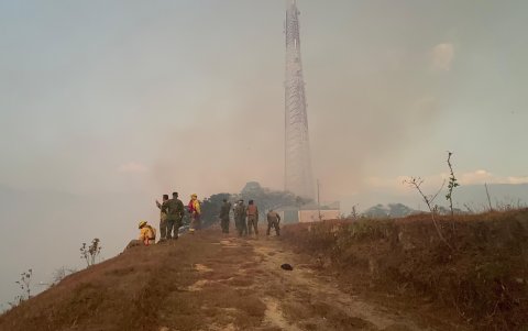 Sembríos de café se han perdido por el incendio forestal en Quilanga, Loja.