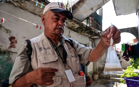 Un trabajador de la Secretaria de Salud (SSa) durante una jornada de prevención de propagación del dengue.