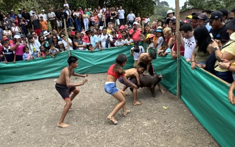 Unos nños tratan de agarrar a un cerdo bañado en aceite, otra de las tradiciones.