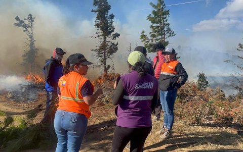 Según la Secretaría de Gestión de Riesgos Zonal 6, el incendio está en una pendiente del cerro, lo que impide el acceso del personal.