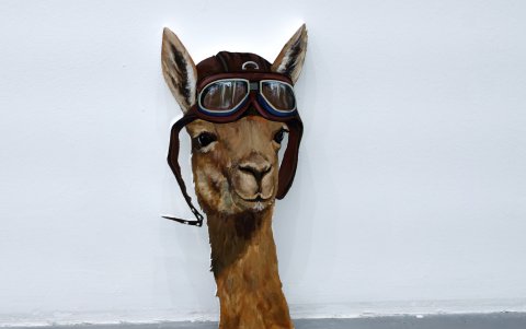 Las llamas y alpacas figuran en la obra de Freddy Guaillas.