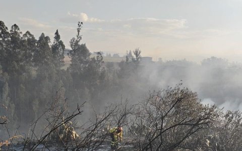 2 de septiembre de 2024: se registró un incendio forestal en El Quinche.