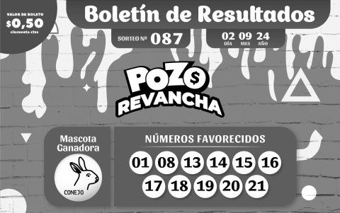 BOLETIN POZO 1100, REVANCHA 87 - LUNES 2 DE SEPTIEMBRE 2024