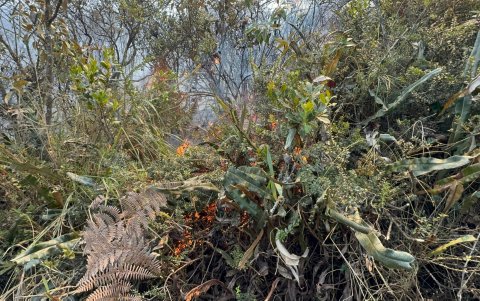 Las llamas en el cerro El Púlpito, en Sigchos, se localizan en una zona de difícil acceso, lo que dificulta el trabajo de los bomberos.