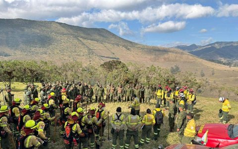 Trabajo de los bomberos para extinguir el incendio forestal.