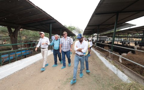 Visita. Un grupo de destacados ganaderos de Ecuador viajaron hasta la vía a la costa, para conocer el hato de la hacienda Mélida.