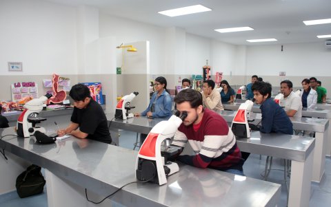 La experiencia en la práctica está sujeta a la simulación real