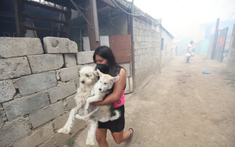 Ciudadanos sacan a sus mascotas y los trasladan a un lugar seguro.