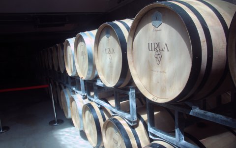 Barriles en la bodega Urla Sarapcilik en Urla, provinicia de Esmirna, Turquía.