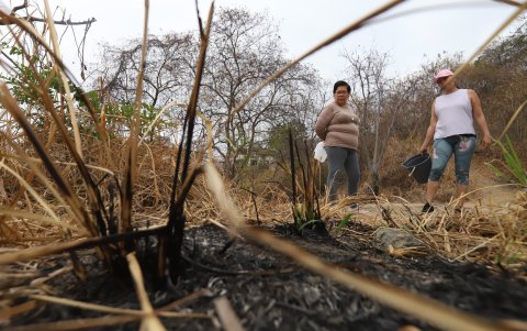 ARCHIVO. El riesgo también está presente en otras zonas de Guayaquil: en el Bosque de Palo Santo, en agosto, la comunidad halló restos de fogatas.