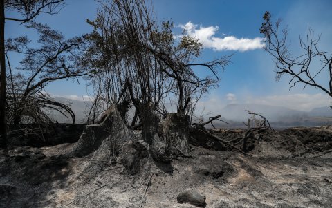 Fotografía donde se observa una zona afectada por un incendio en la población de Itulcachi, este viernes, a la afueras de Quito (Ecuador).