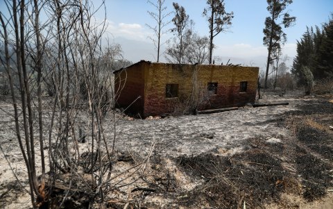 Cerca de 16.000 hectáreas han ardido en las últimas dos semanas en Ecuador producto de una serie de incendios alimentados por la sequía.