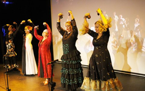 La presentación se llevó a cabo en la sala La Bota, en Malecón del Salado.