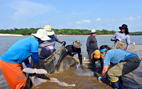 Centro de investigación ha empezado a tomar medidas para tratar de evitar una repetición de la tragedia.