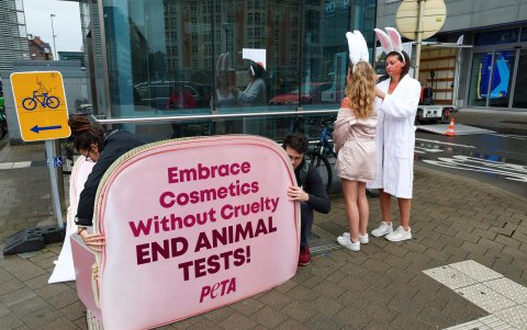 Manifestantes del colectivo PETA reclaman que se prohíban los ensayos en animales de cosméticos como cremas de protección solar, champú o perfumes.