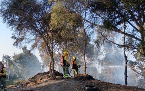 Incendio forestal en el sector de La Loma de Puengasí del pasado 6 de septiembre.
