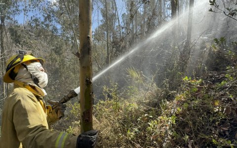 Los Bomberos continúan enfrentando el incendio.