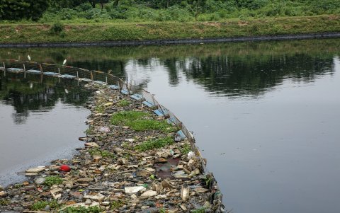Panorama. La contaminación es un escenario habitual de buena parte de los ríos que surcan la India.