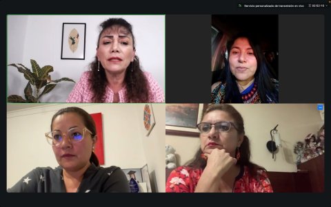 La comisión ocasional sesionó de manera virtual y aprobó el plan de trabajo.