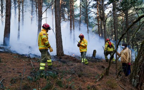 Respuesta. Los bomberos de distintas ciudades se han unido para buscar aplacar el fuego que se ha encendido. La tarea no ha sido sencilla para los uniformados.