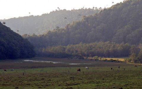 El cráter del volcán Cerro Machín en Toche