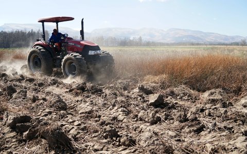 Hay zonas donde la tierra permanece calcinada y huele a humo.