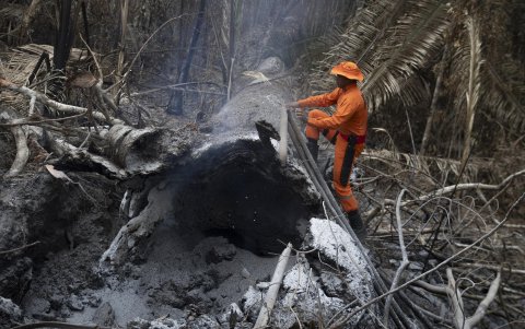 Un bombero inspecciona una zona afectada por incendios en el Parque Estatal Guajará Mirim este 11 de septiembre de 2024, en Nova Mamoré (Brasil).