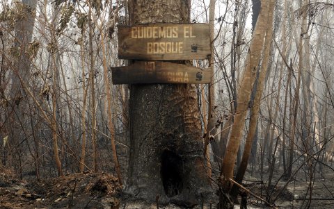 Un letrero en un árbol tras un incendio en la comunidad este jueves, en Río Blanco (Bolivia).