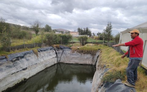 La falta de lluvias, es decir la severa sequía que afronta el país, ha mermado la reserva de agua de los sembríos de las fincas.