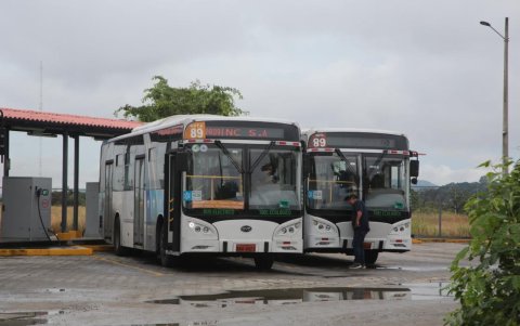 La mayoría de la flota de buses de SAUCINC son vehículos eléctricos.