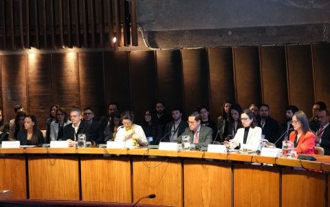 Ministra de Ciencia, Tecnología, Conocimiento e Innovación, Aisén Etcheverry durante la presentación de los resultados