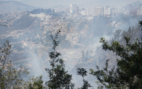Así luce el sector Bellavista