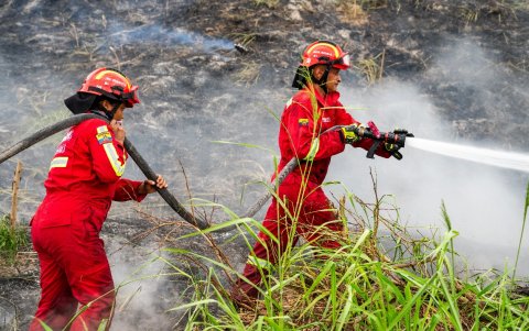 Uniformados en labores para apagar las llamas en la vegetación.