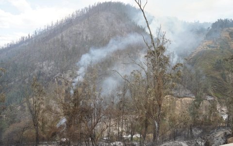 El incendio en el cerro Auqui es una de las emergencias que concentra la atención de los Bomberos, para evitar que se propague.