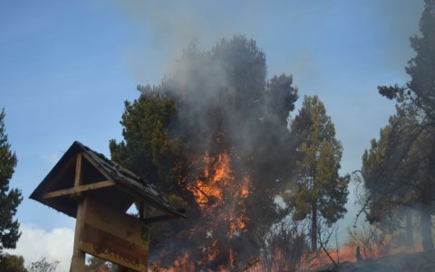 Hay preocupación por el daño que se pueda generar en las zonas protegidas de la zona de Pasanche.