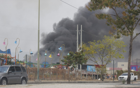 Incendio forestal en las inmediaciones del Parque Samanes.
