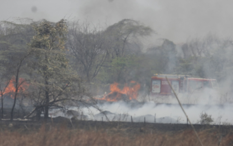 Incendio forestal consume vegetación seca.