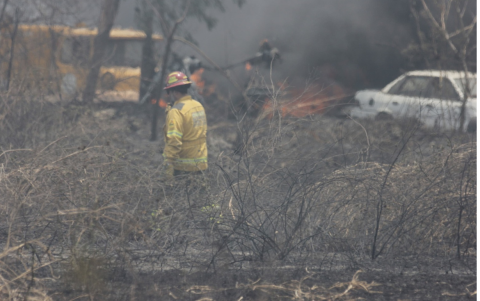 Entre el tramo que enlaza a Los Vergeles y el Parque Samane en la autopista, existe abundante vegetación seca.