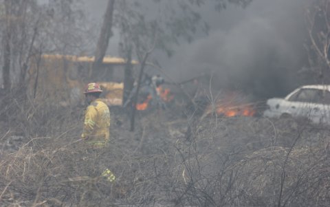 Un incendio forestal afectó un tramo del parque Samanes, en el norte de Guayaquil, la tarde de este jueves 26 de septiembre.