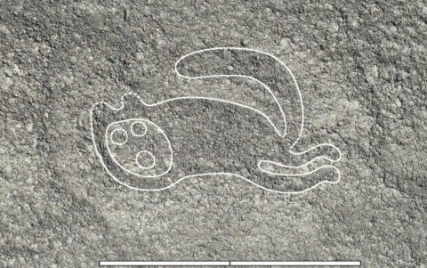 Las imágenes que revelaron sobre las figuras descubiertas en Nazca.