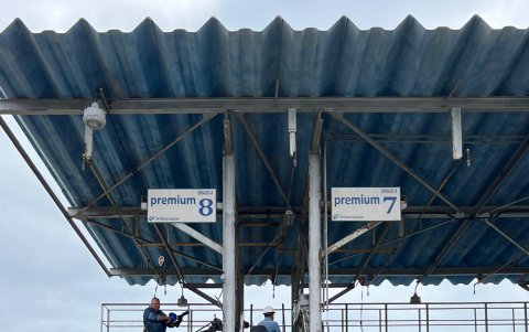 El Estado ha perdido cerca de 25 millones de dólares por 'pinchazos' al poliducto.