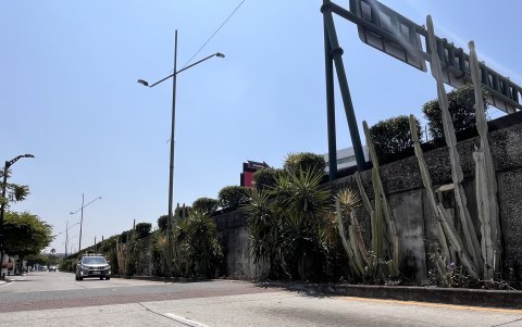 Fauna. Una especie similar al cactus que se observa en la ciudadela Los Ceibos, pero no es cactus y fue introducida; cumple una función ornamental.