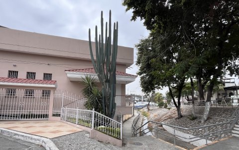 Adornos. En la ciudadela Martha de Roldós también se pueden observar esta especie no endémica del bosque seco espinal del litoral.