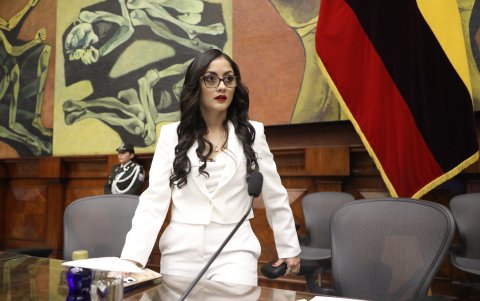 Analistas sostiene que esta primera búsqueda de consensos será clave para la credibilidad de Viviana Veloz como presidenta de la Asamblea Nacional.