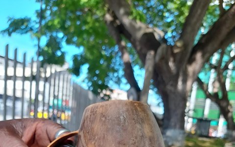 José Quiñónez, con su destreza toma un calabazo, también conocido como mate verde y lo convierte en un instrumento de sonido.