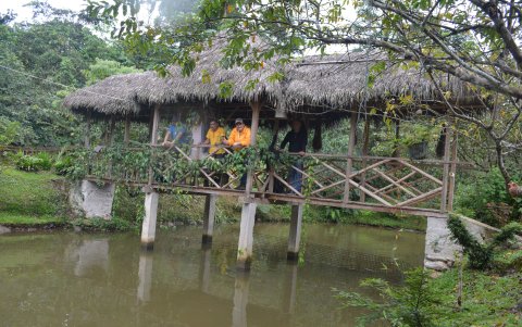 NAPO. Pucha ha dedicado más de dos décadas para reforestar con árboles nativos y plantas en peligro de extinción.