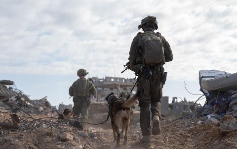 La 252ª División prosigue sus operaciones en el centro de la Franja de Gaza. La Franja de Gaza superó este jueves los 41.700 muertos registrados en casi un año de ofensiva israelí.