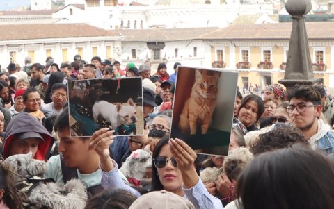 Quienes no pudieron llevar a sus mascotas, exhibieron fotos de sus animales queridos para solicitar la bendición.