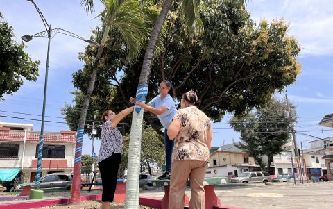 Unión. Moradores de Sauces 1, junto con la líder barrial, visten los árboles y postes con cintas de la bandera de Guayaquil.
