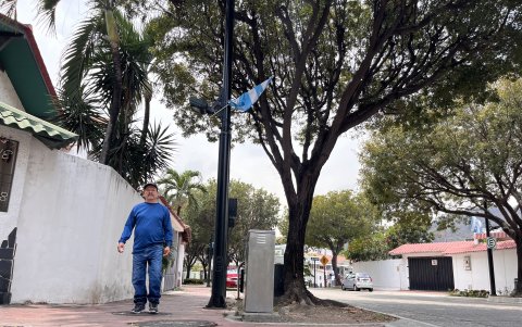 Postes. La bandera de la ciudad flamea en las calles principales de Los Ceibos. Fueron colocadas el miércoles 2 de octubre por la presidenta del Comité del sector; en julio también las usaron.